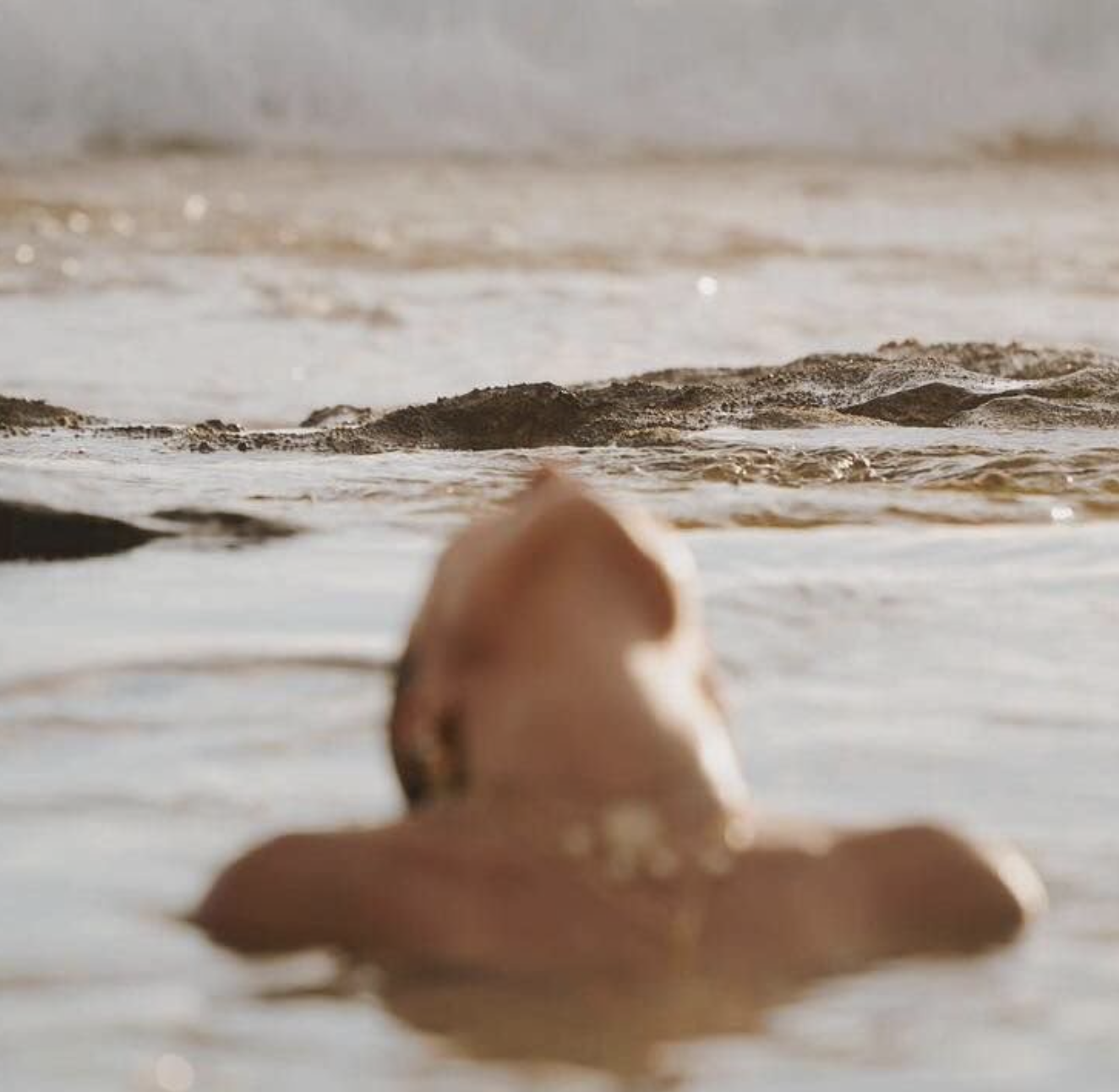 A still, golden-hour view of calm water with a soft silhouette submerged at the surface