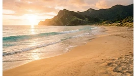 A sunlit New Zealand beach at golden hour