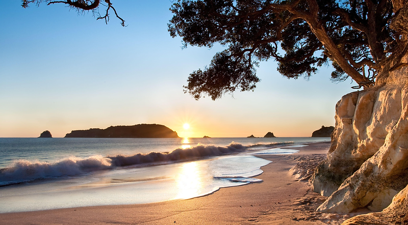 A calm New Zealand coastline at golden hour