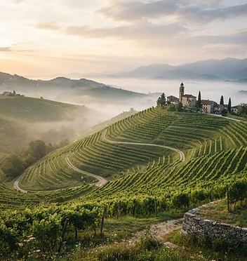 The Prosecco Hills Vision Lab