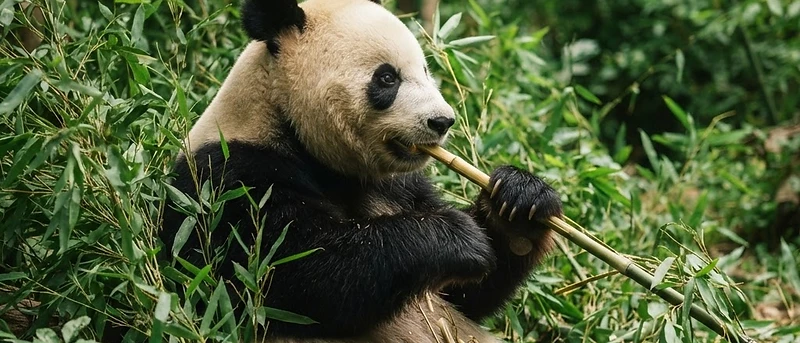 Zoo Berlin