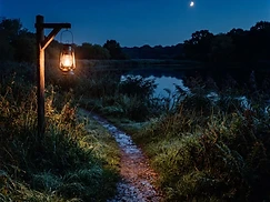 Stadtnatur-Spaziergang in der Familiennacht