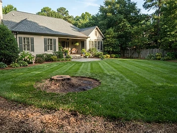 Cleared lot after tree removal in Charlotte NC