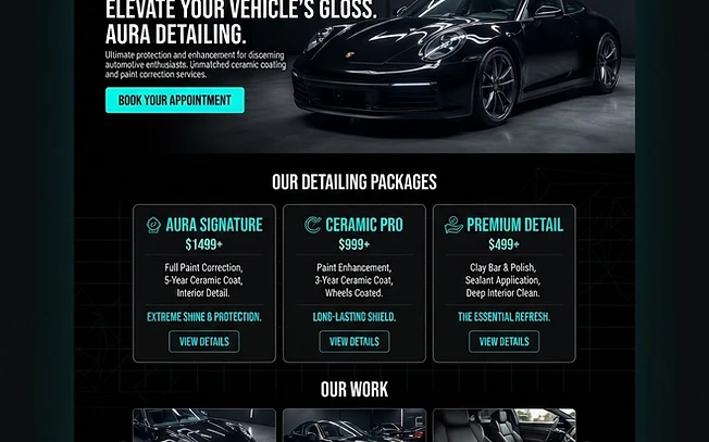 Auto detailing website concept