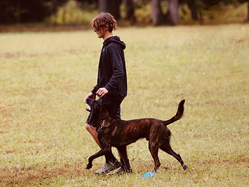KC Canine training