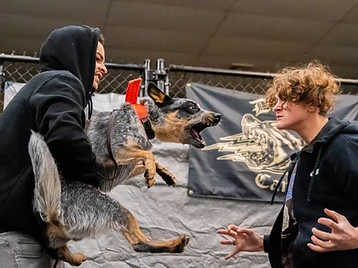 KC Canine training