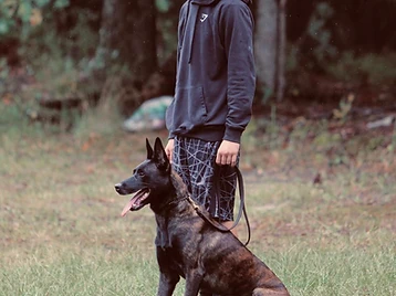KC Canine training