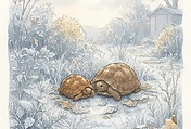 The Winter Blanket