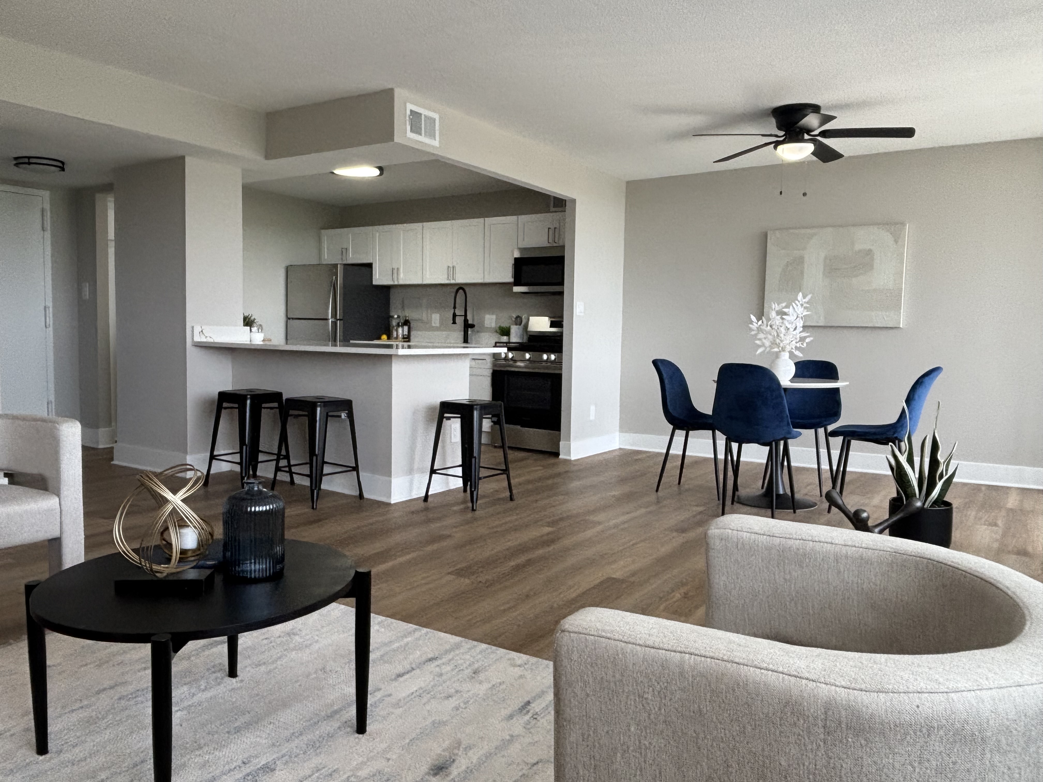 Apartment Rehab: Full Interior