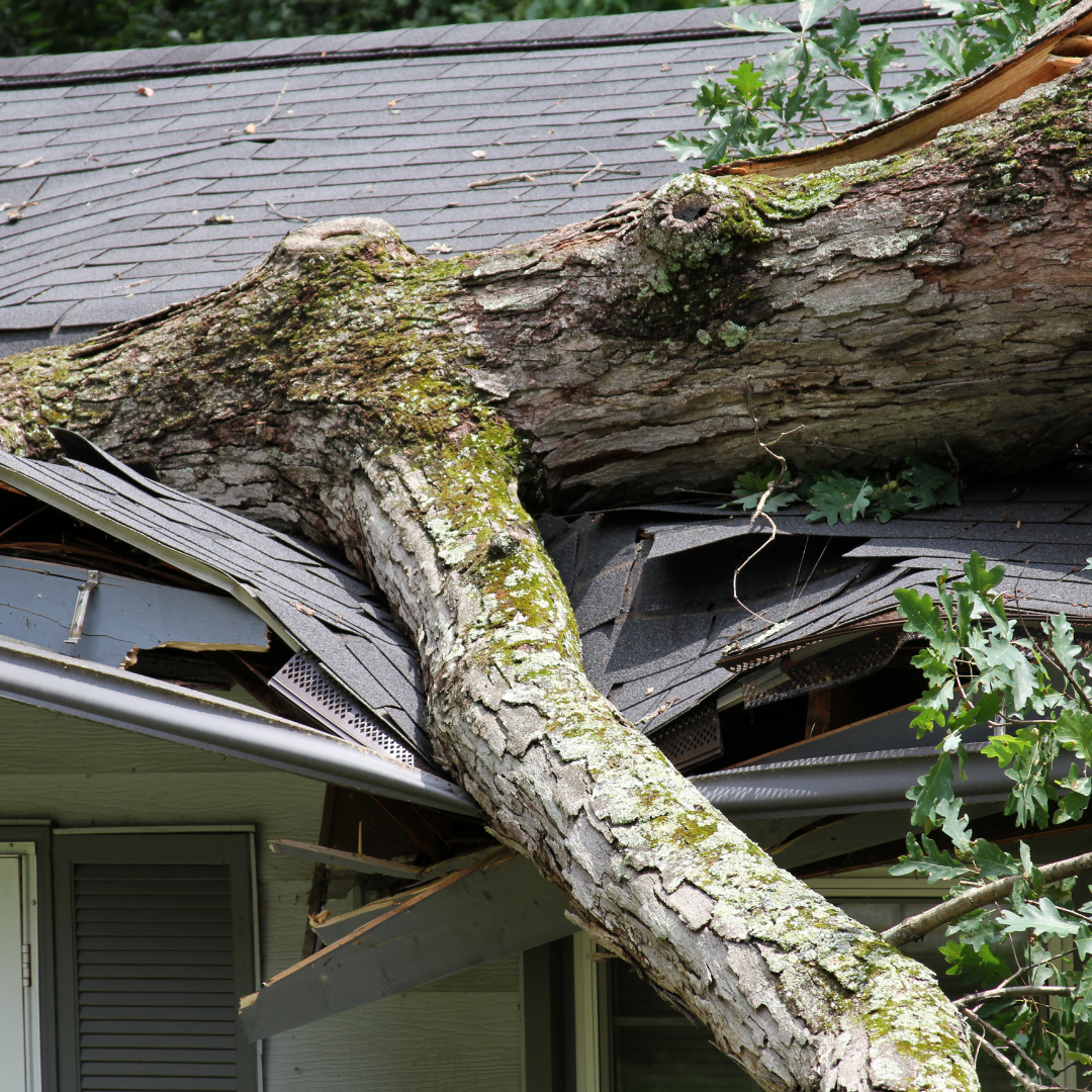 Fire and storm damage restoration by DMV Restorations Inc.