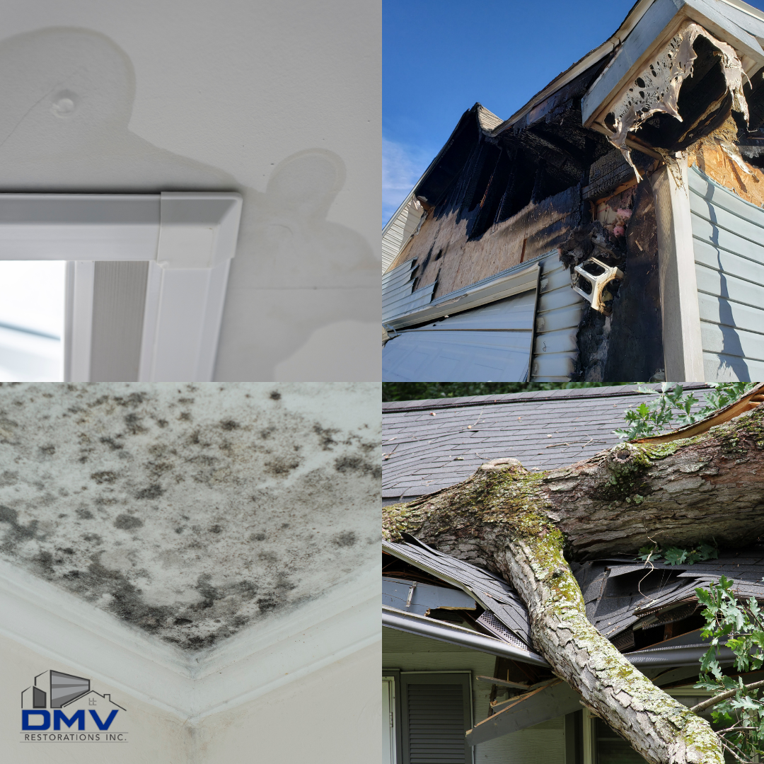 Restoration services: water, fire, mold and storm damage