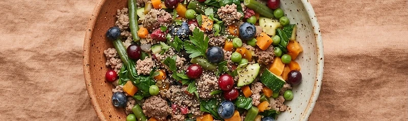 Wholesome pet food ingredients on a rustic surface