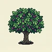 Planta