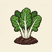 Planta