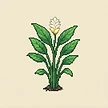 Planta