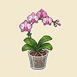 Planta