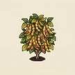 Planta