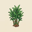 Planta