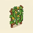 Planta