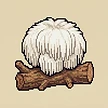 Planta