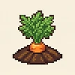 Planta