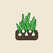 Planta