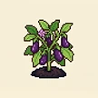 Planta