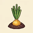 Planta