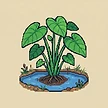 Planta