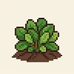 Planta
