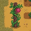 Planta