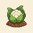 Planta
