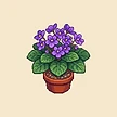Planta