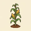 Planta