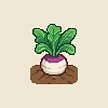 Planta