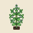 Planta