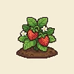 Planta