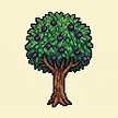 Planta
