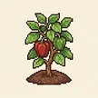 Planta