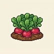 Planta
