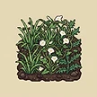 Planta