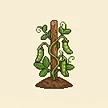 Planta