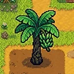 Planta