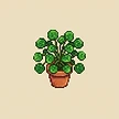 Planta