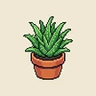 Planta