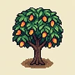 Planta
