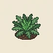 Planta