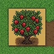 Planta