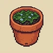 Planta