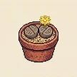 Planta